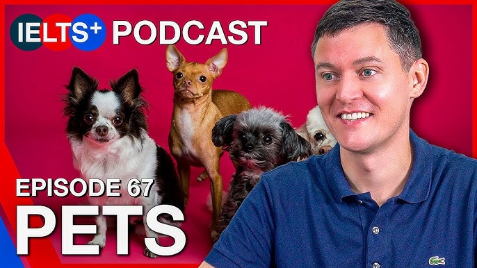 რომელი აქსესუარები სჭირდება თქვენს შინაურ ცხოველს?