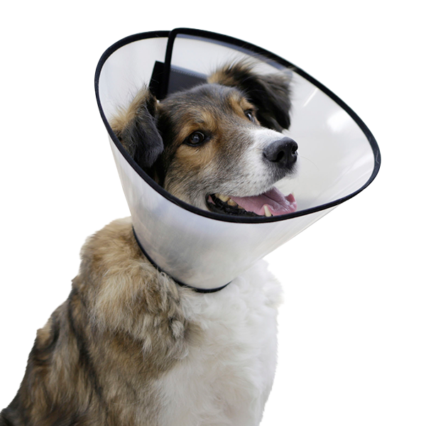 ვეტერინარული საყელო Kerbl Surgical Collar 7.5